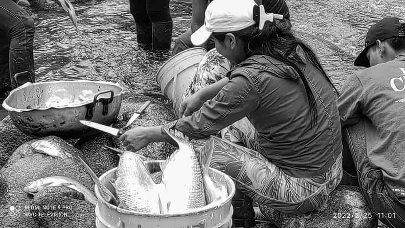 Musurunakuna community permaculture